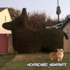 Прикрепленное изображение: Некрасиво.jpg