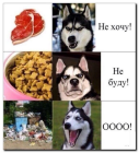 Прикрепленное изображение: Еда.png