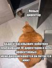 Прикрепленное изображение: Новый директор.jpg