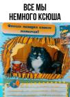 Прикрепленное изображение: Ксюша ленивая и толстая.jpg