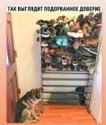 Прикрепленное изображение: Подорванное доверие.jpg