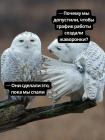 Прикрепленное изображение: График работы.jpg