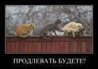 Прикрепленное изображение: bwf1co1hgrgj.jpg