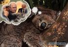 Прикрепленное изображение: 4279712.jpg