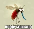 Прикрепленное изображение: image.jpeg
