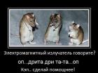 Прикрепленное изображение: 1282574467_demotivatori_kotomatrisi-62.jpg