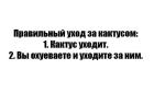 Прикрепленное изображение: PwIO2B1eG7w.jpg