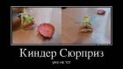 Прикрепленное изображение: IMG_0160.JPG