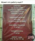 Прикрепленное изображение: iq3ESYi2CAU.jpg