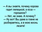 Прикрепленное изображение: gEa9Elb-ZtU.jpg