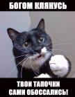 Прикрепленное изображение: pZF0W3dTYw4.jpg