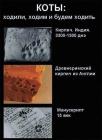 Прикрепленное изображение: 1591490196.jpg