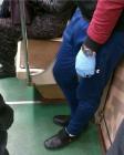 Прикрепленное изображение: IMG-20200604-WA0003.jpg
