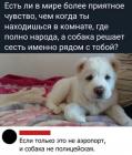 Прикрепленное изображение: mkpzCl9YnNI.jpg