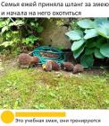 Прикрепленное изображение: QLljtpM78uM.jpg