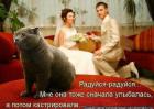 Прикрепленное изображение: x_308308e7.jpg
