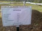 Прикрепленное изображение: Муравейник.jpg
