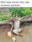 Прикрепленное изображение: Муж починил розетку.jpg