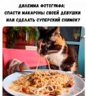 Прикрепленное изображение: Дилемма фотографа.jpg