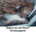 Прикрепленное изображение: 1622549969.jpg