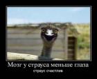 Прикрепленное изображение: 1624199450.jpg