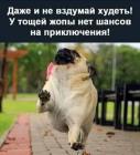 Прикрепленное изображение: 199508265_191656919627428_846998776800640213_n.jpg