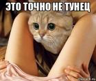 Прикрепленное изображение: download.jpg