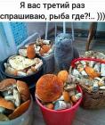 Прикрепленное изображение: 1653900803.jpg