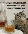 Прикрепленное изображение: Коньячок МВД.jpg