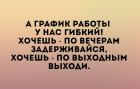 Прикрепленное изображение: Гибкий график.jpg