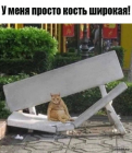 Прикрепленное изображение: 1716651430.png