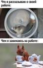 Прикрепленное изображение: Рассказываю о работе.jpg