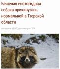 Прикрепленное изображение: UqJJomXJSR4.jpg