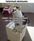 Прикрепленное изображение: Типичный начальник.jpg