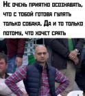 Прикрепленное изображение: гуляет только собака.jpg