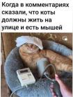 Прикрепленное изображение: 1779177923.jpg