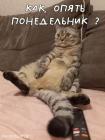 Прикрепленное изображение: 637753f3dbf4fc1a515f447432e12e58.jpg