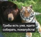 Прикрепленное изображение: 1782153132.jpg