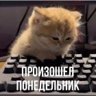 Прикрепленное изображение: d2aee0ac57b069675fc463b8393b5c31.jpg