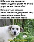Прикрепленное изображение: 1780765973.jpg
