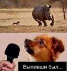 Прикрепленное изображение: 1781884051.jpg