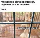 Прикрепленное изображение: 1780907793.jpg