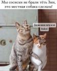 Прикрепленное изображение: Сосиски не брали.jpg