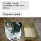 Прикрепленное изображение: Сложный выбор.jpg