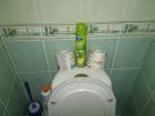 Прикрепленное изображение: DSC_0055.jpg