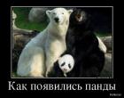 Прикрепленное изображение: dem07.jpg