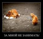 Прикрепленное изображение: 89y6bn1a6o3o.jpg