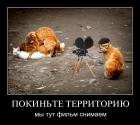 Прикрепленное изображение: g5yemq2h6l43.jpg