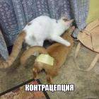 Прикрепленное изображение: IMG_1851.JPG