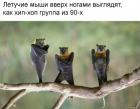 Прикрепленное изображение: image.jpeg